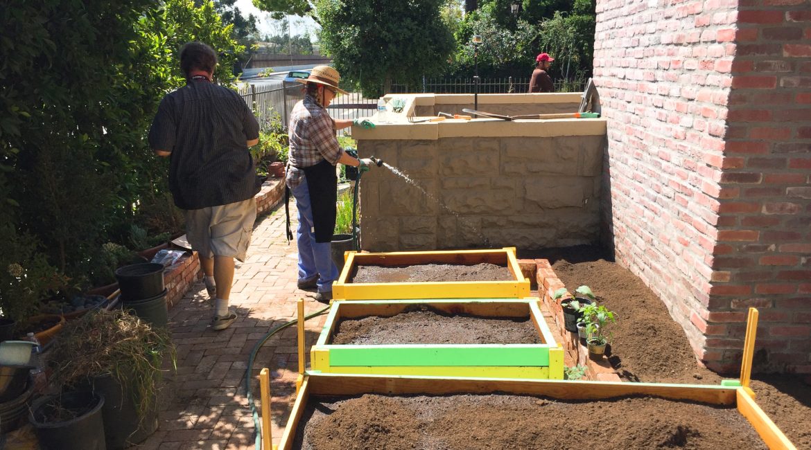Raised Bed Design
