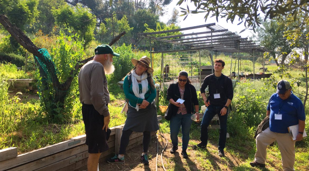 Community Farm Field Trip