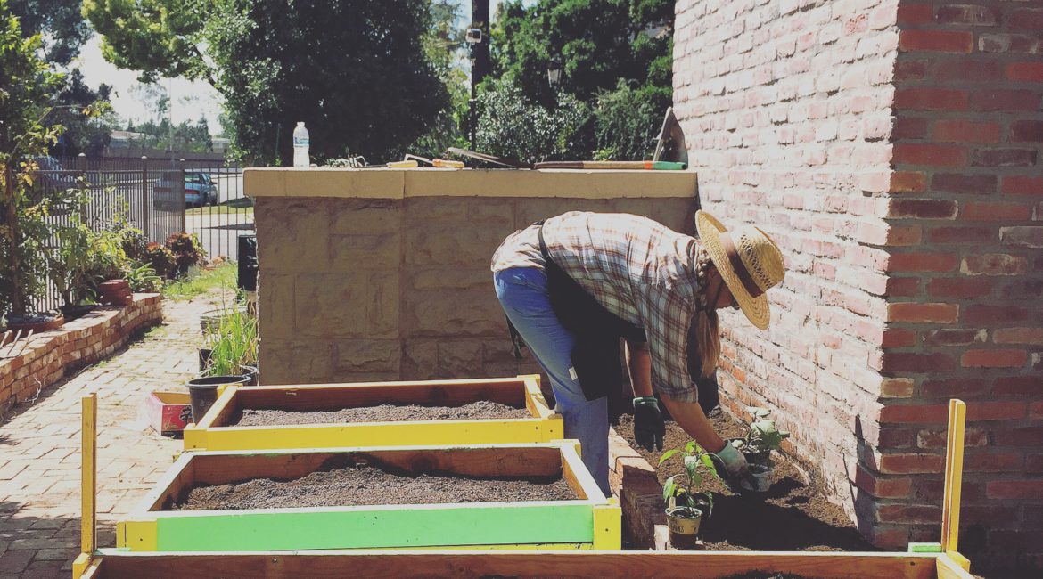 Time lapse of making the Raised beds